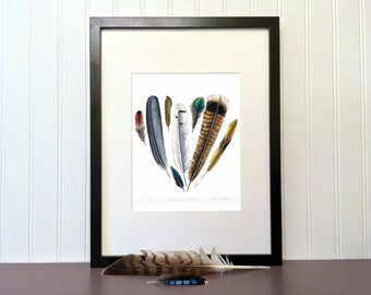 Art print - Heart of Feathers -  10 x 8 in - Signed, limited edition giclee on coton paper - Bird, Collection, Nature Illustration.