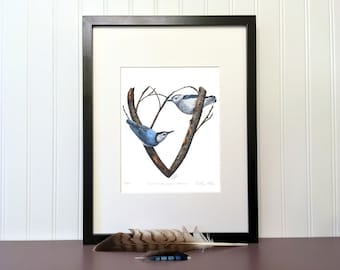 Art print - White-breasted Nuthatch -  10 x 8 in - Signed, limited edition giclee - Birds, Botanical, Heart, Winter, Nature Illustration.