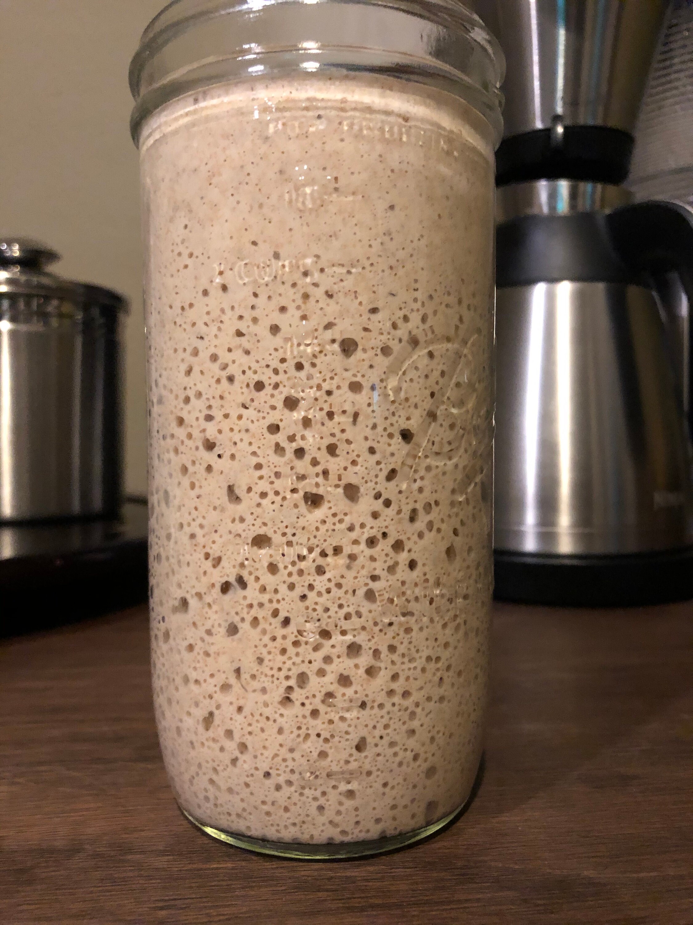 Sourdough Starter regular flour Etsy