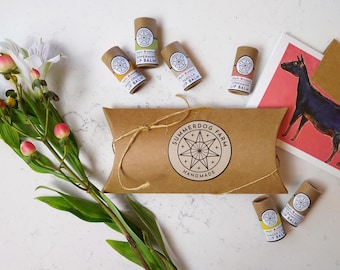 Beeswax lip balm gift set: 6-pack, organic ingredients, plastic-free, natural flavors, handmade