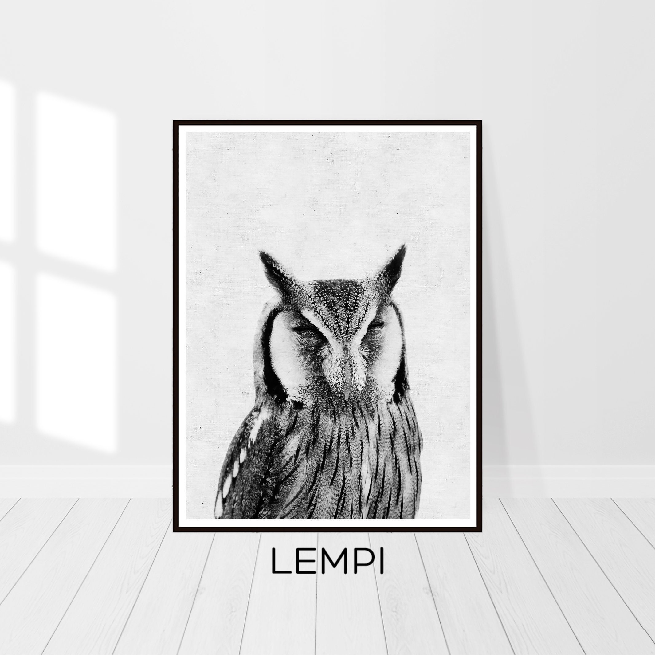 Owl Print Black and White Owl Wall Art Owl Art Animal Etsy
