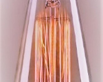 Edison Incandescent Amber ST 64 Light Bulb