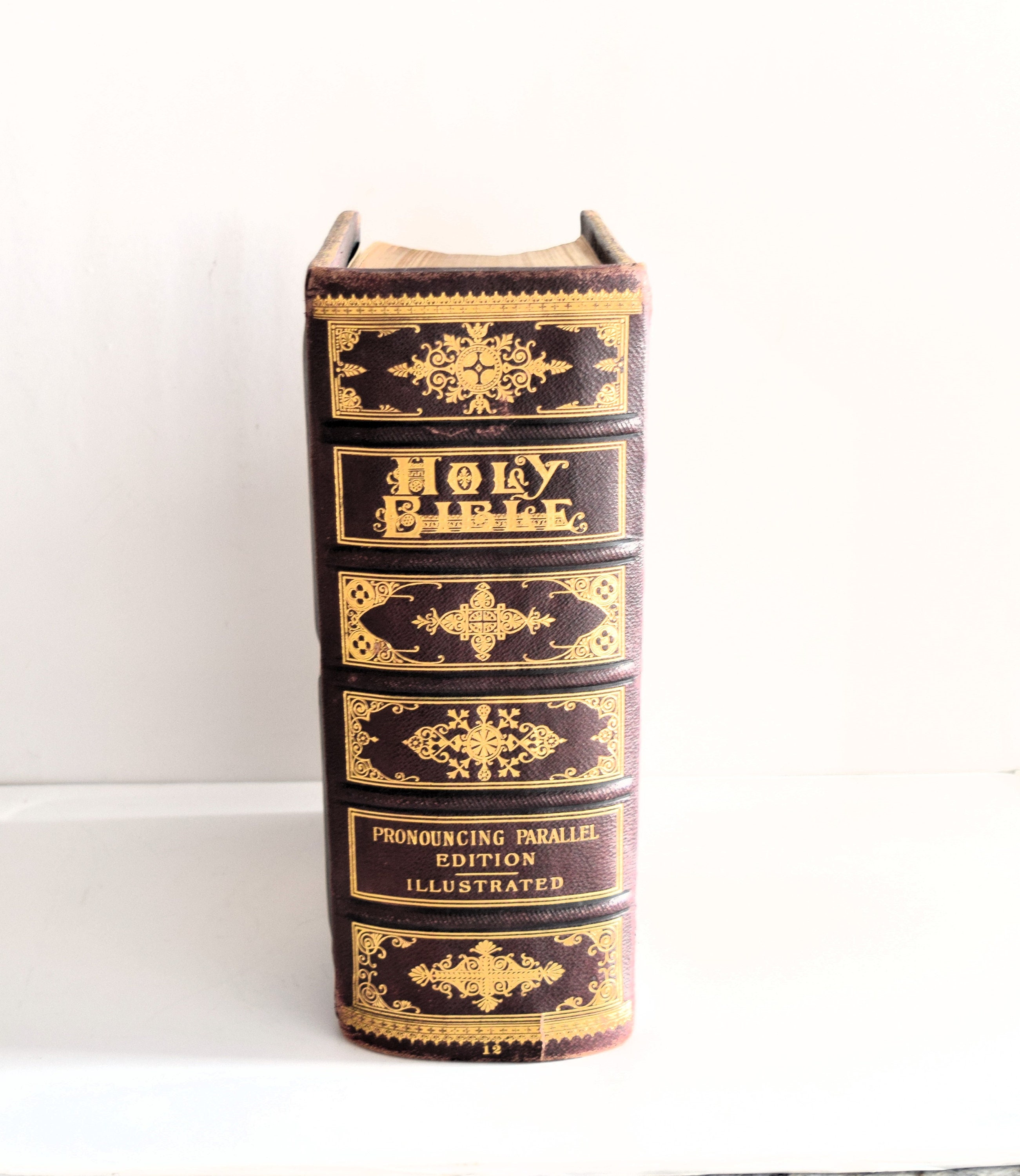 1886 Antique Family Bible: Gilt Leather Cover, Pictorial Edition