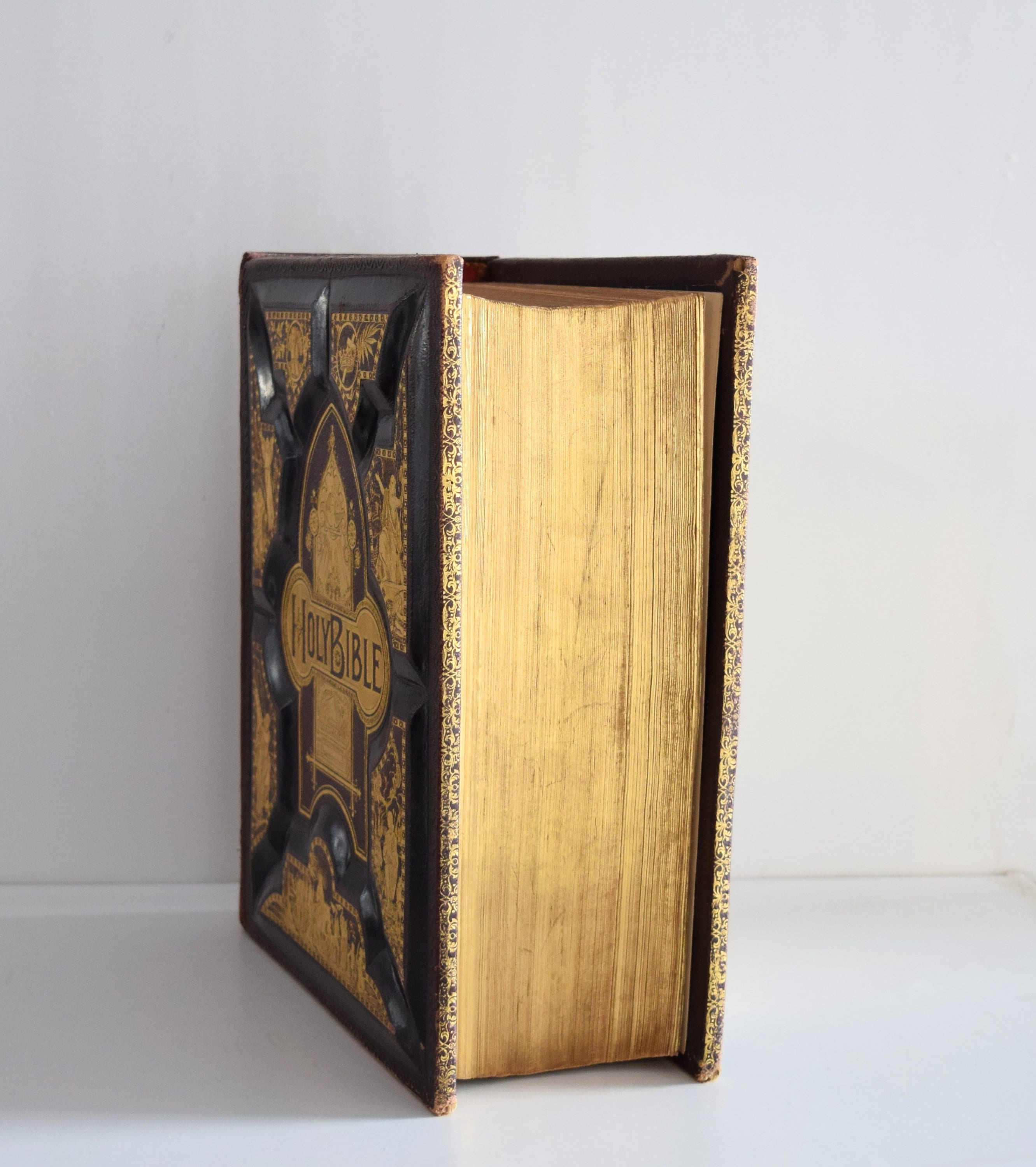 1886 Antique Family Bible: Gilt Leather Cover, Pictorial Edition