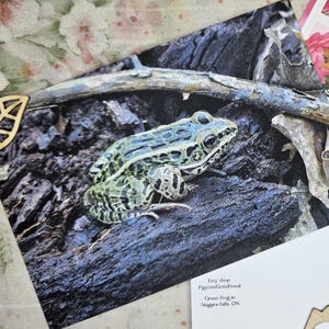 Carte postale nature forêt grenouille