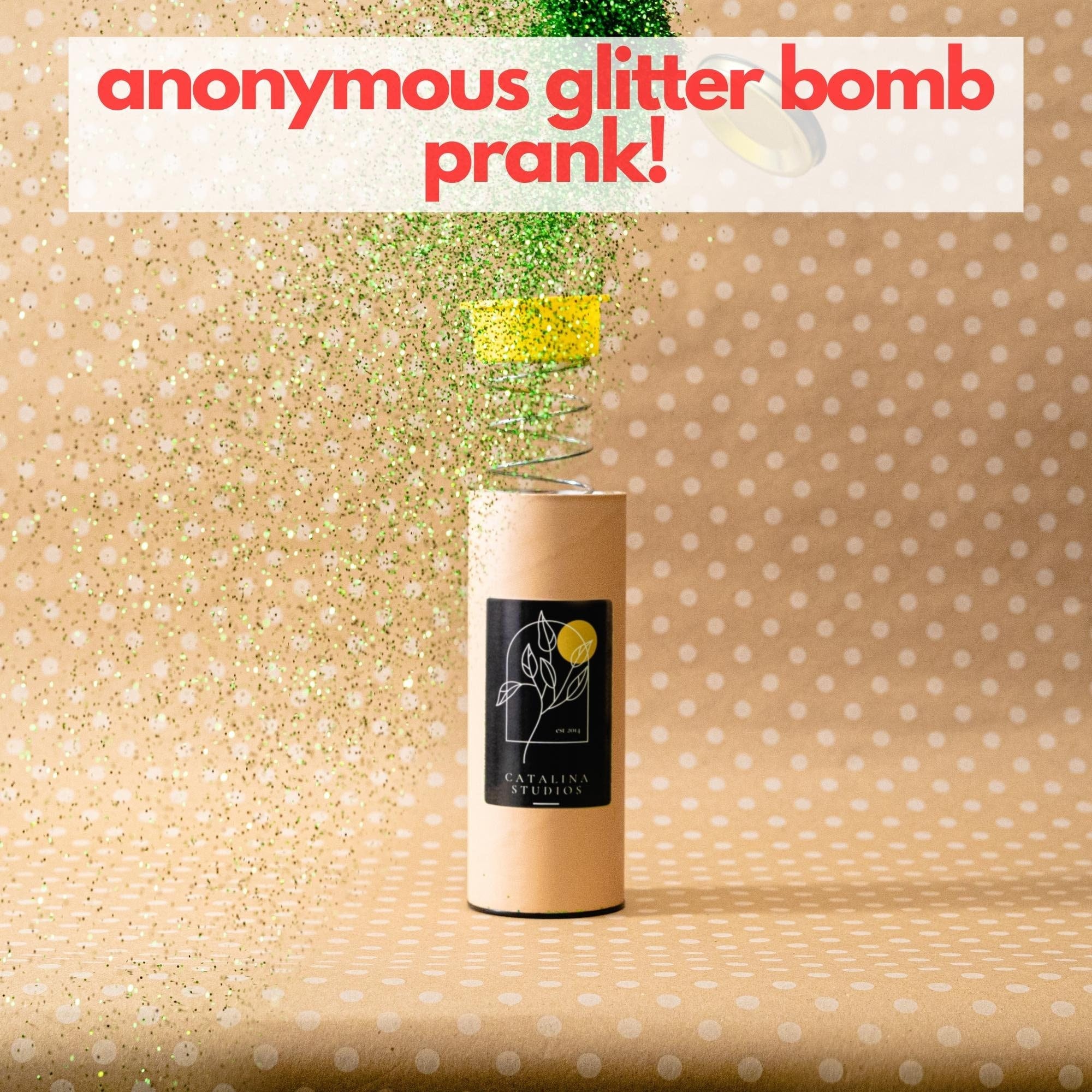 DAYD Pranks Anonymous Spring Loaded Glitter Bomb - Unleash Sparkling  Surprises for Any Occasion, Novelty Joke Gift Box : Toys & Games 