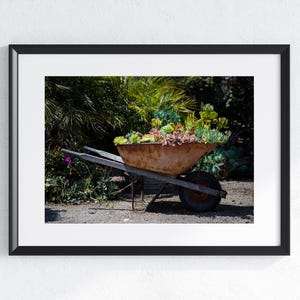 Vintage Framed Wheelbarrow Succulent Print | Rustic Garden Wall Art | Farmhouse Home Decor | Ready to Hang Botanical Photography - FLOWER3