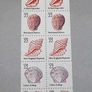 May include: A sheet of eight 22-cent United States postage stamps featuring illustrations of different types of seashells. The stamps are arranged in two rows of four. The top row features the Frilled Dogwinkle, Reticulated Helmet, New England Neptune, and Calico Scallop. The bottom row features the Lightning Whelk.