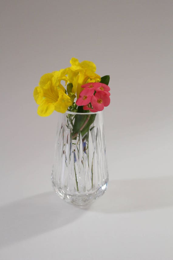 Tipperary Crystal Bud Vase Fine Irish Crystal Mouth Blown and Hand Cut Useful and Beautiful Small Flower Vase from Ireland Mint il 570xN pa6l