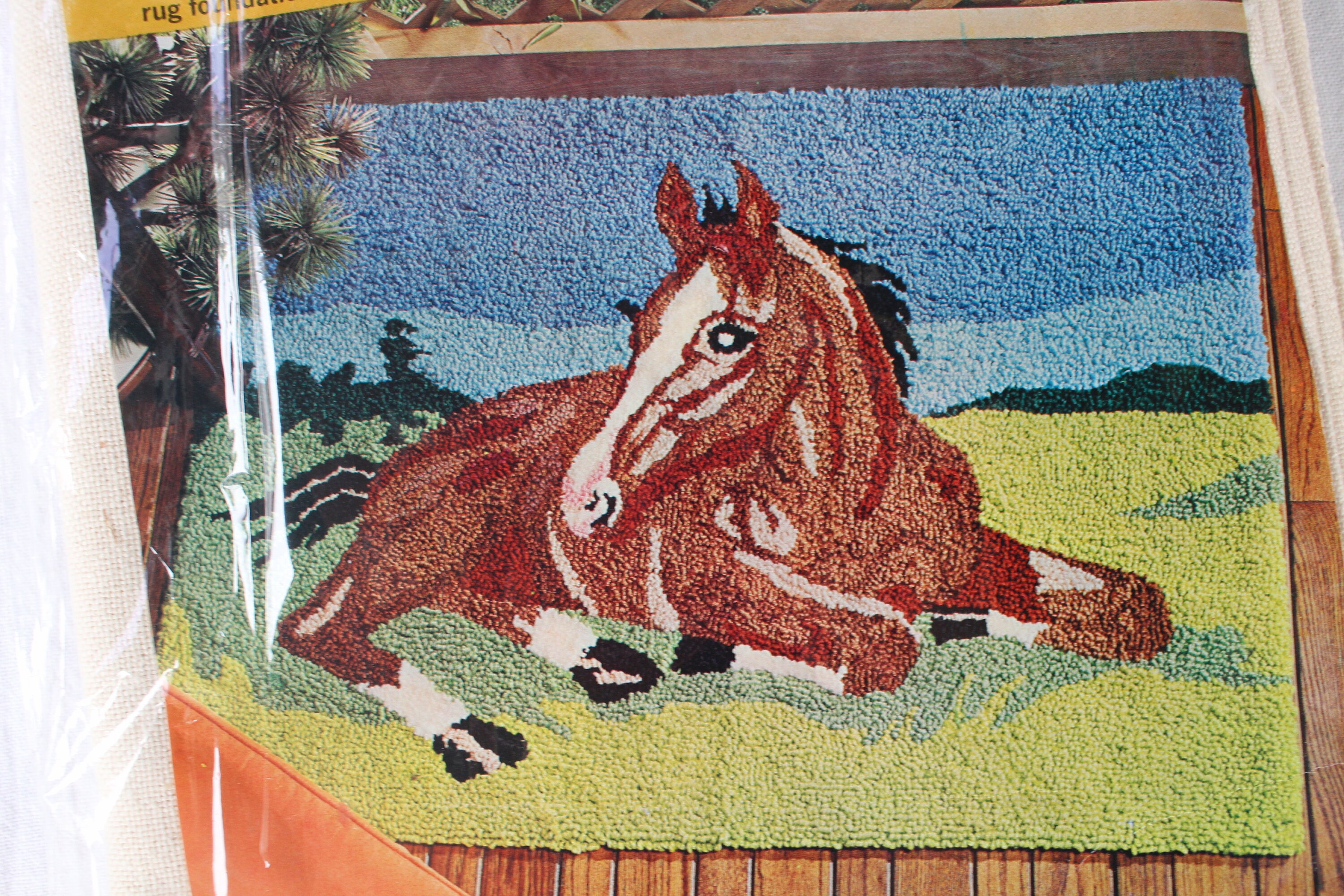 Aunt Lydia's Punch Needle Rug Kit PASTORAL #930, Finished Size LARGE 34 ...
