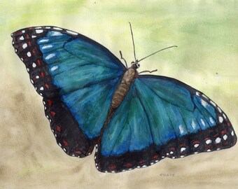 morpho butterfly Original watercolour painting