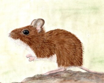 Mouse Original watercolour painting