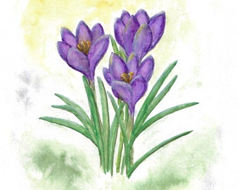 Krokusse Original Aquarellmalerei