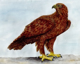 Adler Krafttier Original Aquarellmalerei