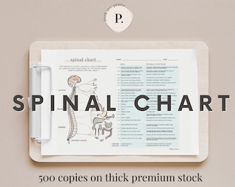 ANS 500ct. Spinal Chart Printout ROF - 500 Copies Premium Stock - Subluxation Chiropractic ROF Handout 8.5x11