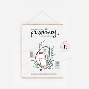 Adapting to Pregnancy Chiropractic Poster