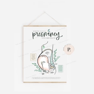 Adapting to Pregnancy Chiropractic Poster