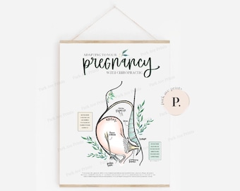 Adapting to Pregnancy Chiropractic Poster