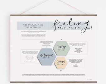 Feeling VS Function Poster - Nerve Function Chiropractic Education Poster - NOT FRAMED