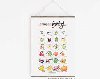 New! Bump to Baby Watercolor Pregnancy Chart | Week by Week Baby Size Fruit Poster