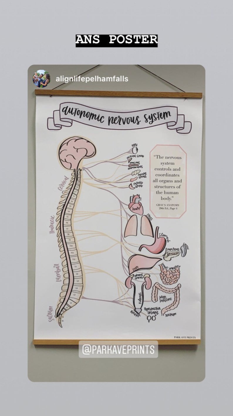 ANS Chart Chiropractic Poster Subluxation Symptoms Etsy
