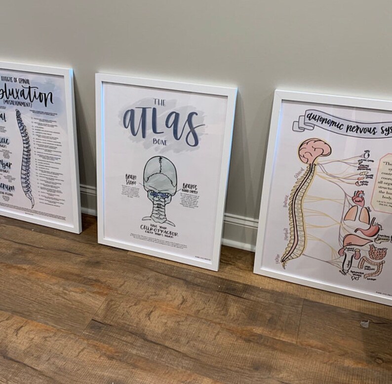 ANS Chart Chiropractic Poster Subluxation Symptoms Etsy