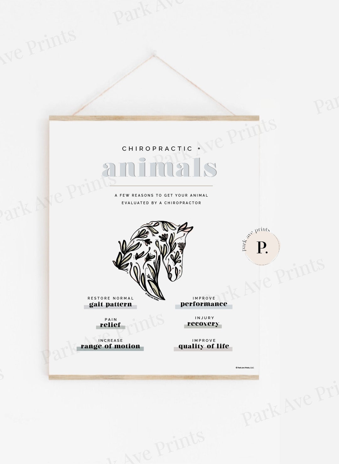 New Animal Equine Chiropractic Poster PARK AVE PRINTS Etsy