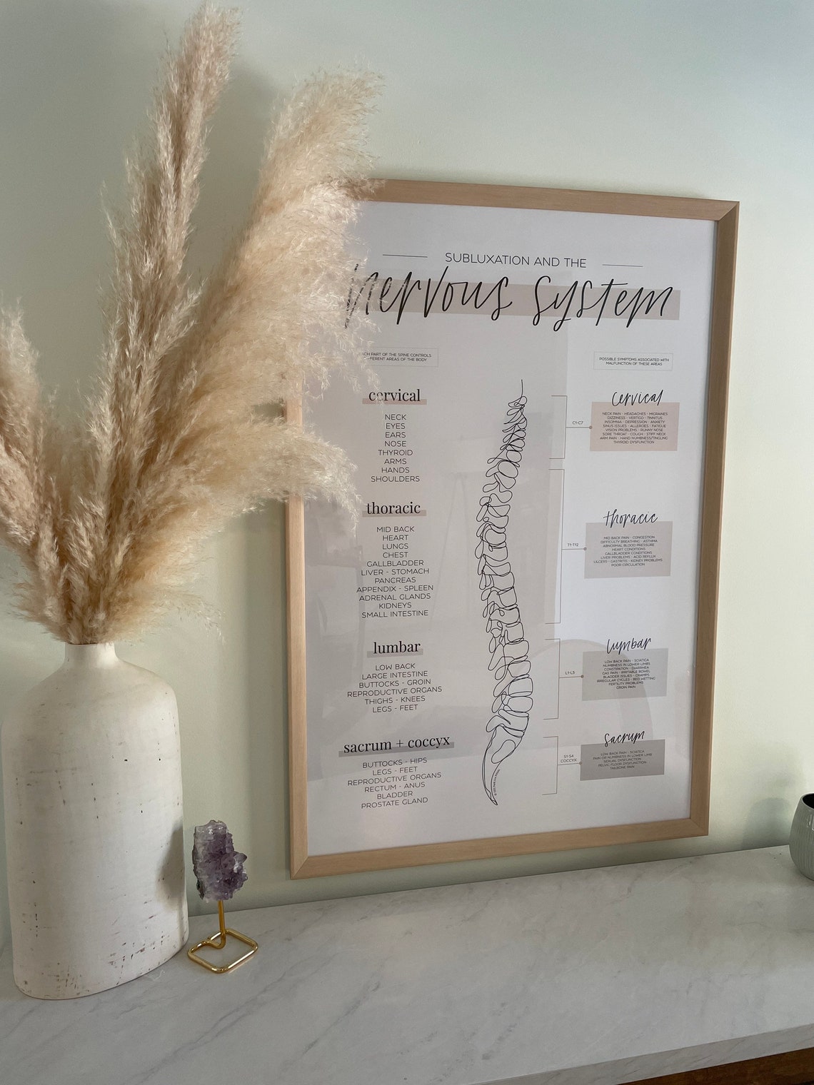 Chiropractic Subluxation and the Nervous System Poster - Etsy