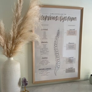 Chiropractic Subluxation and the Nervous System Poster - Etsy