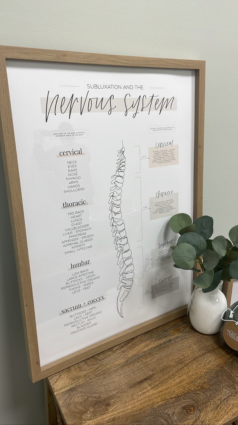 Chiropractic Subluxation and the Nervous System Poster - Etsy