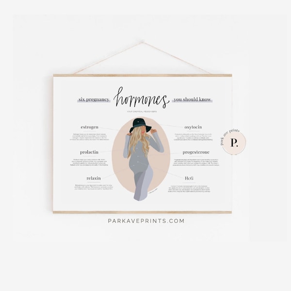 ¡NUEVO! Póster sobre hormonas del embarazo - Anatomía femenina Salud