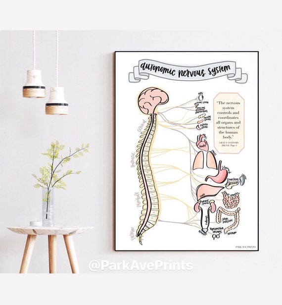 Chiropractic Symptoms Chart