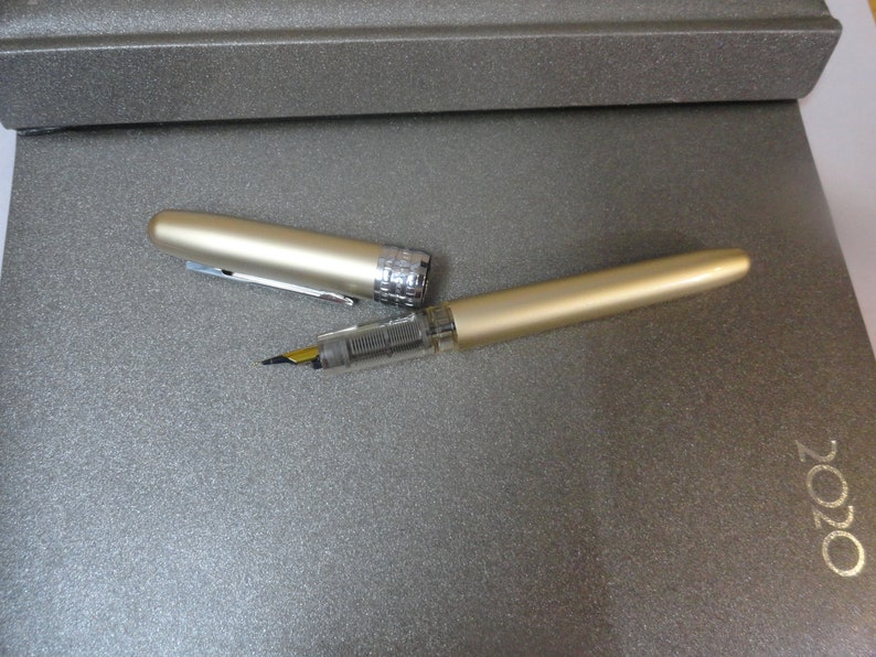 Platinum Plaisir Fountain Pen Japan