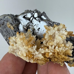 Galena with Calcite - 9th September mine,Madan Ore Field, Rhodope Mountains,Mineral Specimens,N225