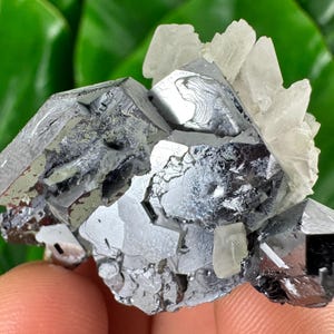 Seltene Galena mit Calcit von Borieva Mine, Madan,Bulgarien, Mineral, Kristall, Wohnkultur, Kollektion N36