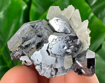 Rare Galena with Calcite from Borieva mine ,Madan,Bulgaria,Mineral,Crystal,Home decor,Collection N36