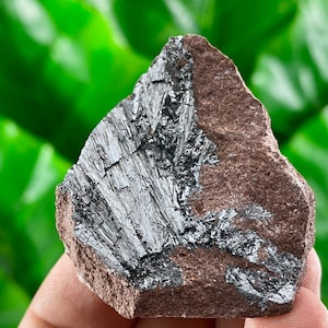May include: A rough, gray and brown rock with a silvery, crystalline formation embedded in it.