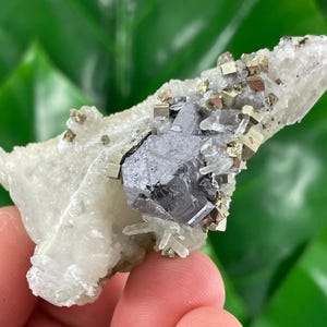 Incredible Galena with Pyrite,Quartz on Calcite from Borieva mine,Madan,Bulgaria,Mineral,Mineral Collection,Crystal collect N42
