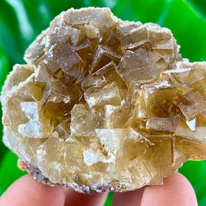 Yellow Fluorite with Calcite from Moscona Mine,Spain,Mineral Specimen,Yellow Fluorite,Fluorite from Spain,Collection,Big Fluorite,