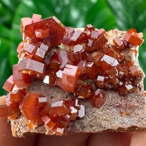 Amazing Vanadinite from Morocco,Crystal, Mineral,Specimen,Cluster,Vanadinite Crystal,Vanadinite,Geology,Vanadinite,Red,Home Decor, N58