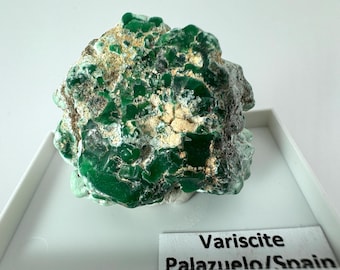 Very rare VARISCITEr from Palazuelo Spain,VARISCITE,VARISCITE from Spain,Green Variscite,Mineralcollection,Collectors