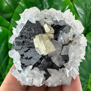 TOP SPECIMEN Large Sphalerite with Calcite,Pyrite ,Chalcopyrite from Trepca,Kosovo,Trepca Stari Trg Mine,Trepca complex,Mitrovica,N561