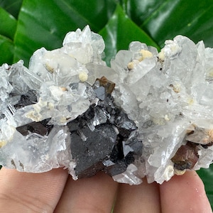 Amazing Sphalerite with Calcite and Quartz from Trepca,Kosovo,Trepca Stari Trg Mine,Trepca complex,Mitrovica,N67