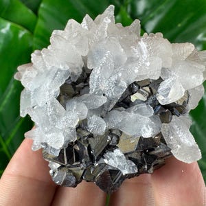 Amazing Sphalerite with Calcite from Trepca,Kosovo,Trepca Stari Trg Mine,Trepca complex,Mitrovica,N68