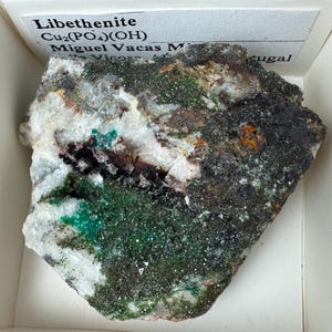 May include: A rough-cut mineral specimen of Libethenite, Cu2(PO4)(OH), with a label. The stone features a mix of dark green, black, white, and brown colors. The mineral is displayed in a white box.