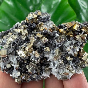 Fantastisk sfalerit med pyrit och kvarts från Krushev dol-gruvan, Madan, Bulgarien, naturligt mineral, prov, kluster, kristall, sten N622