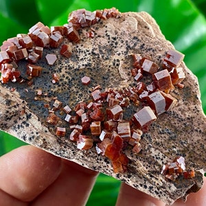 Incredible Vanadinite from Morocco,Crystal,Mineral,Specimen,Cluster,Vanadinite Crystal,Vanadinite,Geology,Vanadinite,Red Color, Home Decor