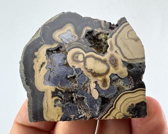 May include: A cross-section of a rock with a unique pattern. The stone features concentric rings and irregular shapes in shades of gray, tan, and black. The natural stone has a rough, uneven texture, showcasing its geological composition.