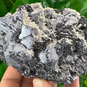 Incredible Galena with Calcite,Sphalerite and Quartz from Krushev dol mine,Madan,Bulgaria,Mineral,Mineral Collection,Crystal collect N524