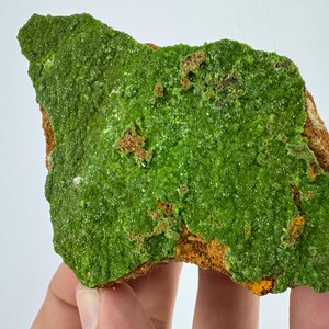 May include: A raw mineral specimen featuring a vibrant, textured green crystalline surface layered over a porous, earthy brown rock base. The green mineral displays a granular, sparkling appearance with irregular edges, contrasting against the rough, tan-colored matrix underneath.